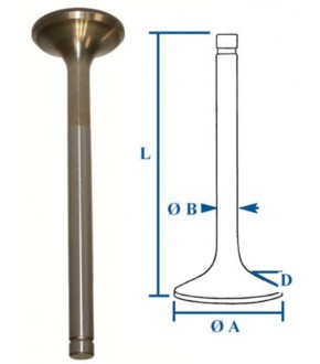 1030-ZN89 Zawór wydechowy
