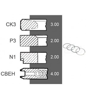 5030-ZN167 Pierścienie 100mm 3,00x2,00x2,00x4,00mm