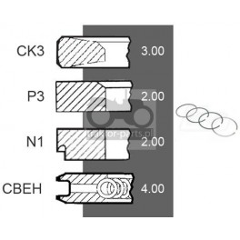 5030-ZN167 Pierścienie 100mm 3,00x2,00x2,00x4,00mm