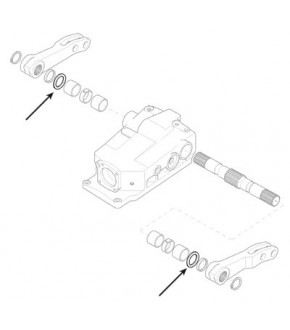 2019-PR35 Pierścień uszczelniający do wałka podnośnika Case ,13809340025