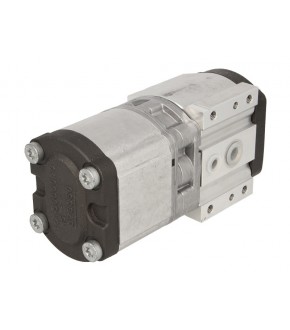 Pompa hydrauliczna 19+11cm3 Massey Ferguson 0510665389