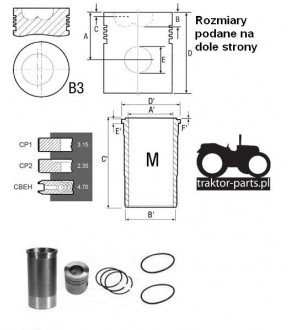 2030-ZN10 Zestaw naprawczy silnika 100mm