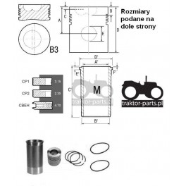 2030-ZN10 Zestaw naprawczy silnika 100mm